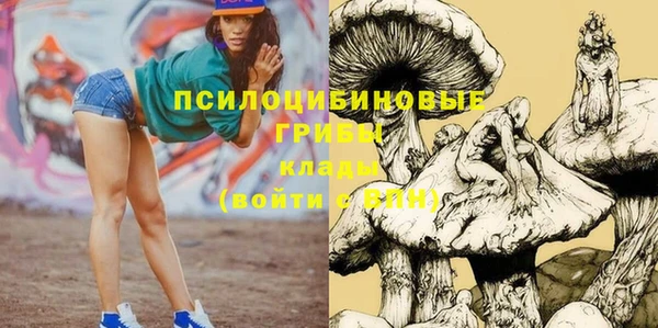 Альфа ПВП Богданович